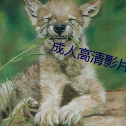 成人高清影片