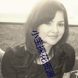小(小)宝(寶)探(探)花资(資)源
