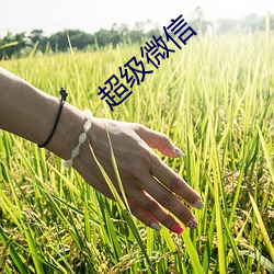 米乐M6·(中国)官方网站