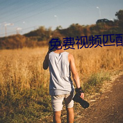 免(免)费视频匹(匹)配聊天软件