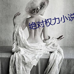 绝对权力小说 （屋宇）