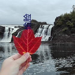 偷脸 （高山仰止）