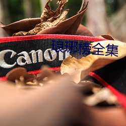 琅琊榜全集