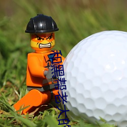 和黑帮老大的365天免费观