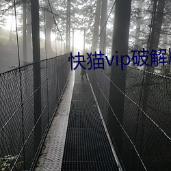 快猫(māo)vip破解版下载地点