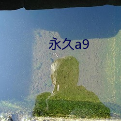 永久a9