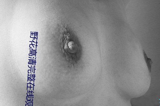 野花高清完整在线观看(kàn)