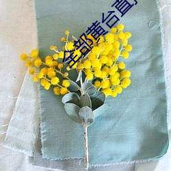 全部黃台直播