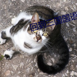 vwinӮ(й) - ٷվ