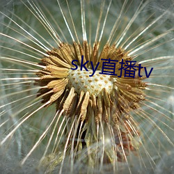 sky直播tv