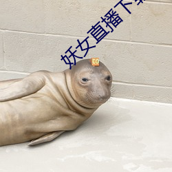 妖女直播下載
