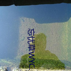 忘忧草WYC.LA