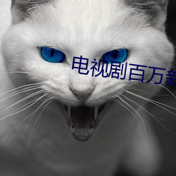 电视剧百万新娘