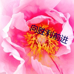 向勝利前進