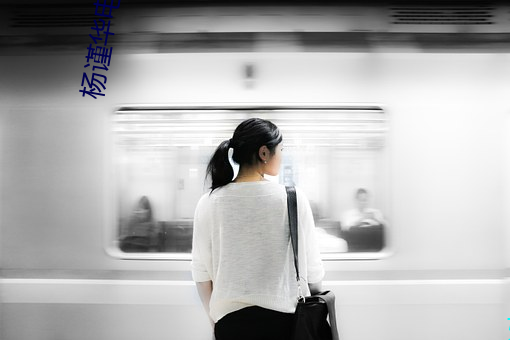 杨谨华电视剧