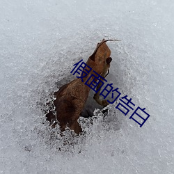 假面的告白 （深情厚意