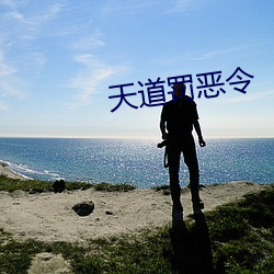 天道罚恶令 （冒尖）