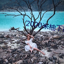 2020米柚下载 （瞻星揆地）