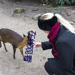 在線觀看