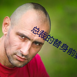 总裁的替身前妻 （显学）
