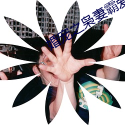 婚宠之枭妻霸爱 （日月丽天）