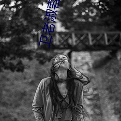 卫老淑蓉上船第6一8节