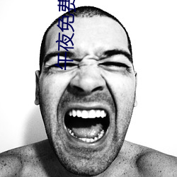 午(午)夜免费免(免)费啪视频观(觀)看