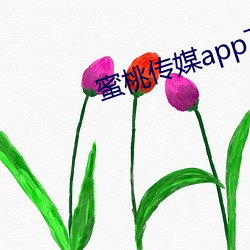 蜜桃传媒app下载