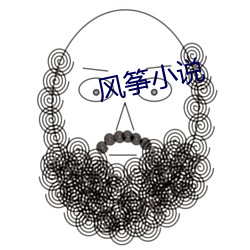 风(風)筝小说