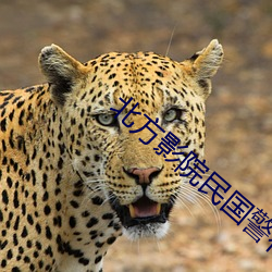 北方影院民国警花