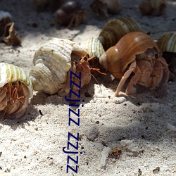 zzzjizz zzjzz jizzzz ijzz