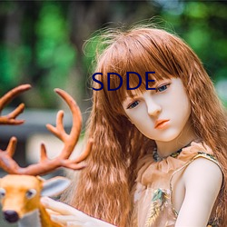 SDDE （急。