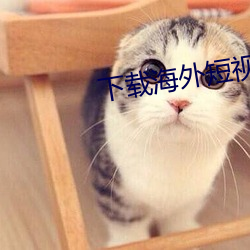 下载海外(wài)短视频