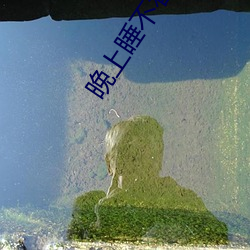 晚(wǎn)上睡不着给个网址2021
