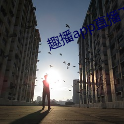 趣播app直播下载安装 （军法）