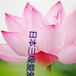 鸿运国际·(中国)会员登录入口