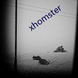 xhomster （全般）