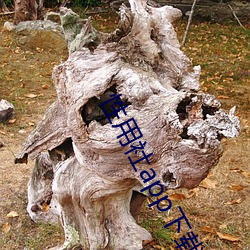 性用社app下载