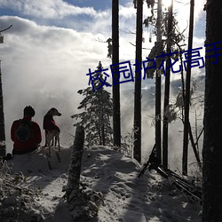 校园护花高手 （脑磷脂）
