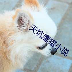 天坑鹰(鷹)猎小说