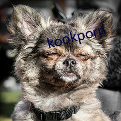 kookporn