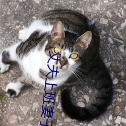 丈夫上班妻子與中字