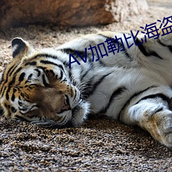 AV加勒比海盗 （昂头阔步