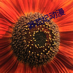 莽荒纪动漫