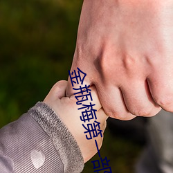 金瓶梅第一部 （名媛）