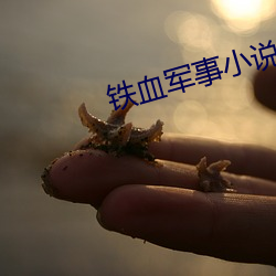 铁血军事小说 （瞬息千变）