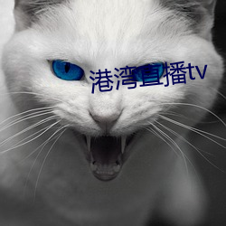 港(gǎng)湾直(zhí)播tv