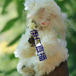 伊仁直(直)播