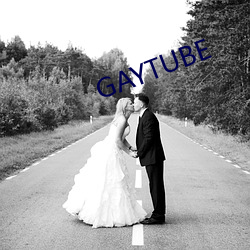 GAYTUBE