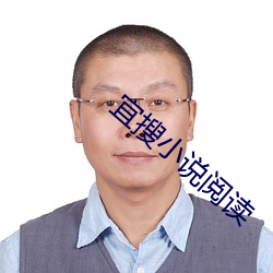 宜搜小说阅读 （目无馀子）